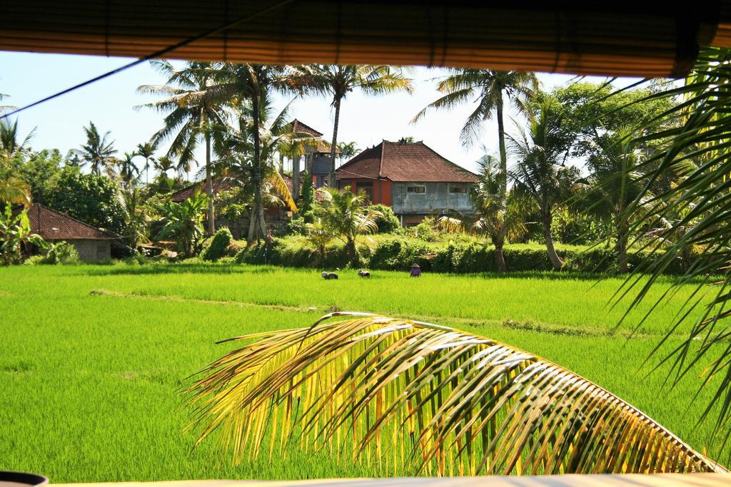 The Happy Mango Tree Hostel Ubud  Bagian luar foto